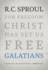 Galatians: an Expositional Commentary