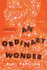 An Ordinary Wonder: a Novel