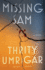 Missing Sam: a Novel