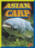 Asian Carp (Invasive Species Takeover)