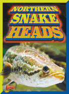 Northern Snakeheads (Invasive Species Takeover)