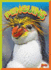 Penguins (Wild Animal Kingdom)