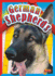 German Shepherds (Doggie Data)