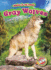 Gray Wolves (Animals of the Forest) (Blastoff Readers. Level 2)