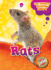 Rats (the World's Smartest Animals, Blastoff! Readers, Level 3)