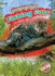 Fishing Cats (Animals of the Wetlands: Blastoff! Readers, Level 2)