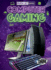 Computer Gaming (Ready, Set, Game! )
