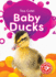 Baby Ducks (Too Cute! Blastoff! Beginners)