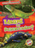 Lizard Or Salamander? (Spotting Differences: Blastoff Readers, Level 1)