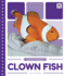 Clown Fish (Ocean Animals)