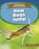How Bugs Jump (Science of Animal Movement)