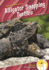 Alligator Snapping Turtles (Animal Pranksters, Level 2)