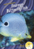 Foureye Butterflyfish (Animal Pranksters; Dash! Leveled Readers, Level 2)