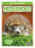 Hedgehogs (Wild About Animals)