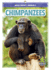Chimpanzees (Wild About Animals)