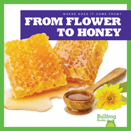 From Flower to Honey (Bullfrog Books: Where Does It Come From? )