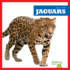 Jaguars