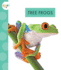 Tree Frogs (Spot Rainforest Animals)