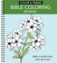 Color & Frame-Bible Coloring: Hymns (Adult Coloring Book)