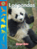 Los Pandas: Spanish Edition