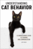 Understanding Cat Behavior: a Compassionate Guide to Training and Communication