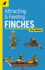 Attracting & Feeding Finches (Backyard Bird Feeding Guides)
