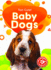 Baby Dogs (Too Cute! )