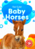 Baby Horses (Too Cute, Blastoff! Beginners)