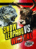 Snow Leopard Vs. Wild Yak (Animal Battles)