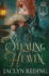 Stealing Heaven