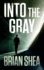 Into the Gray (Boston Crime Thriller)