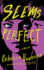 Seems Perfect: a Novel