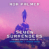 Seven Surrenders Format: Paperback