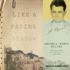 Like a Fading Shadow: a Novel