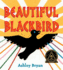 Beautiful Blackbird (Classic Board Books)