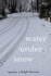Water Under Snow: Poems