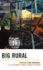 Big Rural: Rural Industrial Places, Democracy, and What Next