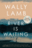 The River is Waiting (Oprah's Book Club): a Novel