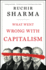 What Went Wrong With Capitalism