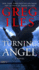 Turning Angel: a Novel (the Penn Cage)