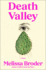 Death Valley: a Novel