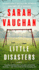 Little Disasters: a Novel
