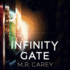 Infinity Gate (the Pandominion Series)