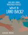 What is Land Back? (21st Century Skills Library: Racial Justice in America: Indigenous Peoples)