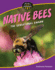 Native Bees: the Sensational Swarm (21st Century Skills Library: Nature's (Secret) Superheroes)