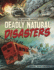 Deadly Natural Disasters (Spark Graphics: True Survival Graphics)