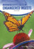 Endangered Insects (Focus on Endangered Species)