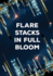 Flare Stacks in Full Bloom: Poems (Volume 1) (the Margaret Lea Houston Series)