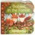 Babies in the Forest-a Lift-a-Flap Board Book for Babies and Toddlers, Ages 1-4