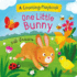 One Little Bunny: a Counting Playbook-Children's Board Book Gifts for Easter Baskets and Springtime Fun, Ages 1-5